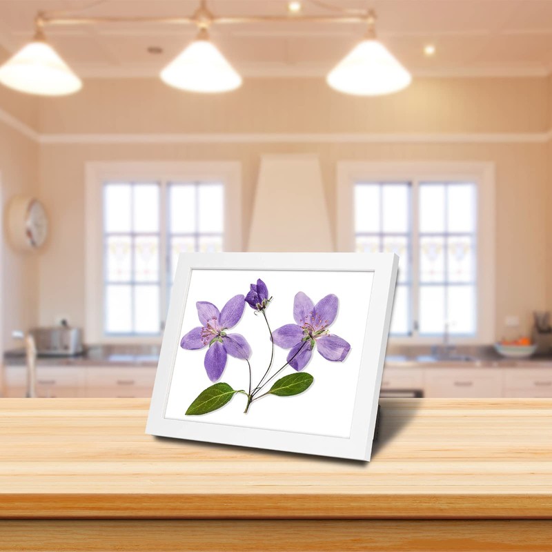 Frametory, Document/Diploma Table-Top Frame for 8.5x11 Picture & Real Glass