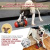 AMNICOOK Interactive Dog Toys,Rolling Motion Shape with Food Dispense Feature