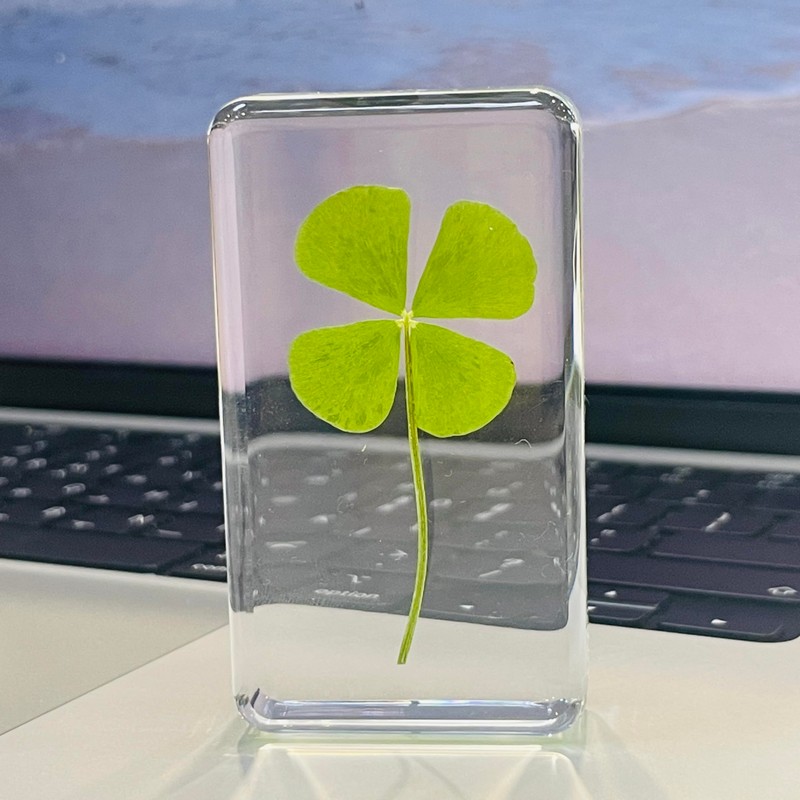 Real 4 Leaf Clover in Lucite Resin (3, Clover Only)