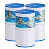 TOREAD Watkins 31489 Replacement Filter, Compatible Pleatco PWK30, Unicel C-6430,