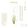 Kameyama Moon Flower Daffodil Scent, 3.2 oz (90 g), Incense