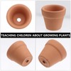 Toddmomy 10Pcs Mini Terracotta Pots Clay Pottery Planter Succulent Nursery