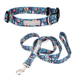 Lucky Love Dog - Adjustable Collar and Leash Set with Easy Click Buckle for Small to Large Dogs, Durable, & Comfortable Collar for Male & Female Dogs, Puppies & Adult - Sweet Holiday Combo, XS
