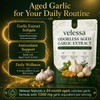 Aged Garlic, 24-Month Odorless Formula, 300 Softgels
