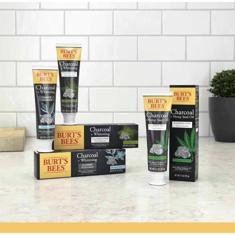 Burt's Bees Toothpaste, Natural Flavor, Charcoal Fluoride-Free Toothpaste, Zen Peppermint,