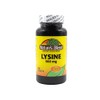 Lysine 500 mg 500 mg 100 Tabs