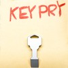 DAILYCARRYCO. KeyPry Sturdy Keychain Prybar - Heavy Duty EDC Pry