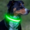 VIZPET LED Dog Collar, Light up Dog Collar Adjustable Safety