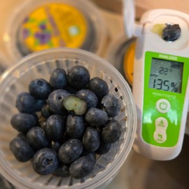 Domestic blueberry 1 kg (18mm or more), 1 piece / 국내산 블루베리 1kg 왕특 (18mm 이상), 1개