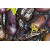 Zergut | Roasted Eggplant Puree | Plant-Based Spread | Kosher