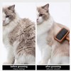 Natural Wood Cat Slicker Brush for Long & Short Haired
