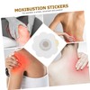 BIUDECO 10pcs Practical Moxibustion Pastes Patches Stickers Moxibustion Machine Fixators