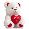 Heart Plush Bear with Teddy Bear I Love You and