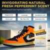 Gold Standard Shoe Deodorizer Spray, 6 oz – Shoe Spray