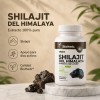 Kit Energía Bioherb Vitalidad Enfoque Rendimiento