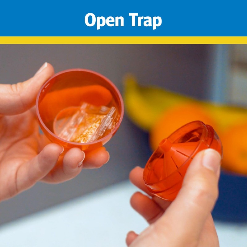 Raid Fruit Fly Trap with Lure, Easy to Use, Apple