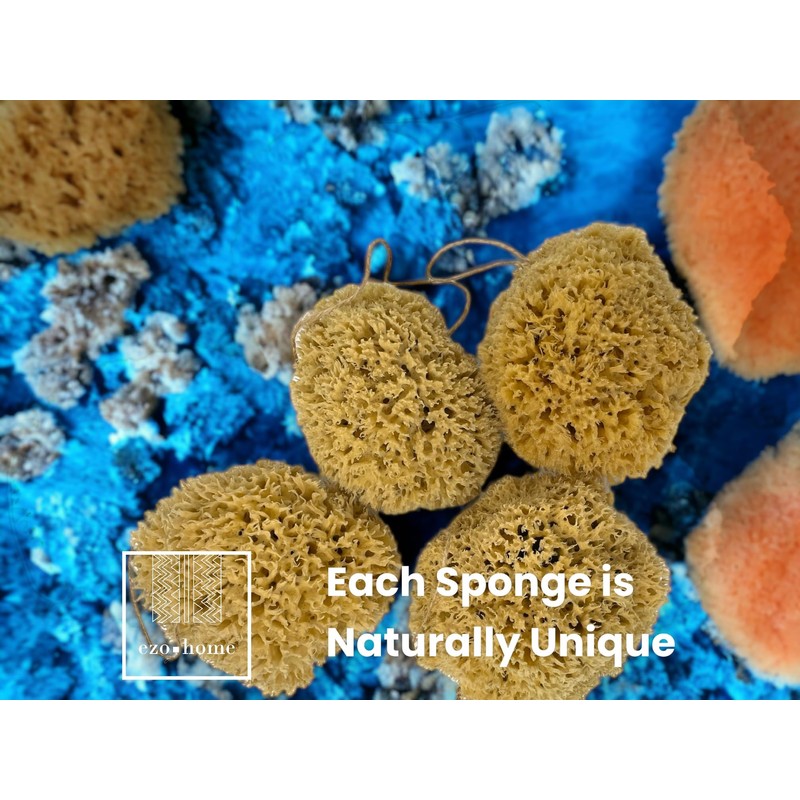 XXL Sea Sponge Very Large 20cm Unbleached Honeycomb Natural Seasponge