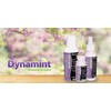 Dynamint Muscle & Joint Roll-on