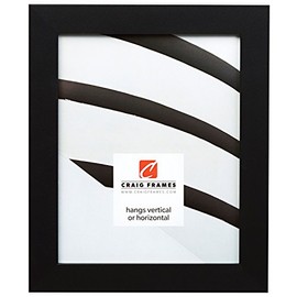 Craig Frames Bauhaus 125, 24x30 Picture Frame, Mystic Satin Black