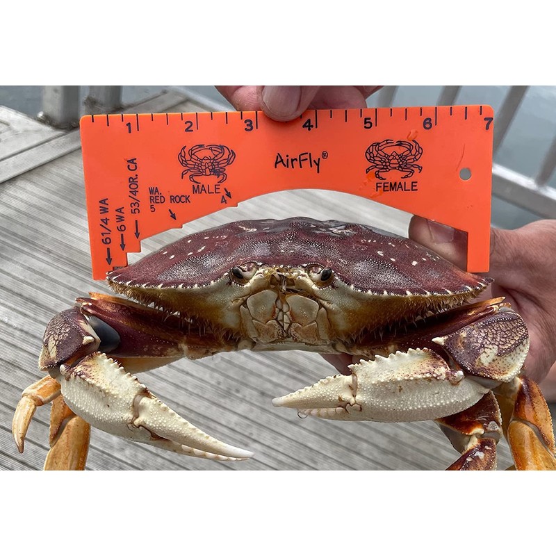 AirFly Crab and Lobster Gauge - Measure for Dungeness, Rock
