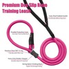 Strong Slip Lead Dog Leash, Heavy Duty Nylon Dog Training