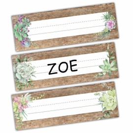 Desk Name Tag Classroom, Potted Succulent Name Plate for Desk Labels, Retro Plants Name Tags for Student Desk Labels Locker Stickers, School Teaching Students Supplies A04