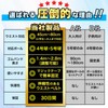 Morisho Volleyball Practice Equipment (Ball Returns Automatically), Saab Attack Spike,