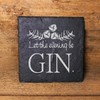 Slate Coasters Give Your Life a Gin – Set of