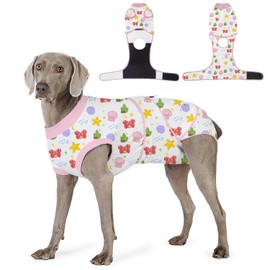 Abuandi Recovery Suit for Dogs After Surgery, Professional Dog Surgical Suit for Female Spay, Male Neuter, E-Collar & Cone Alternative Dog Onesie for Abdominal Wounds Skin Disease, Jellyfish, M