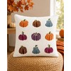 Faux Lamb Fur Fall Pillow Cover 18x18, Soft Fluffy Decorative