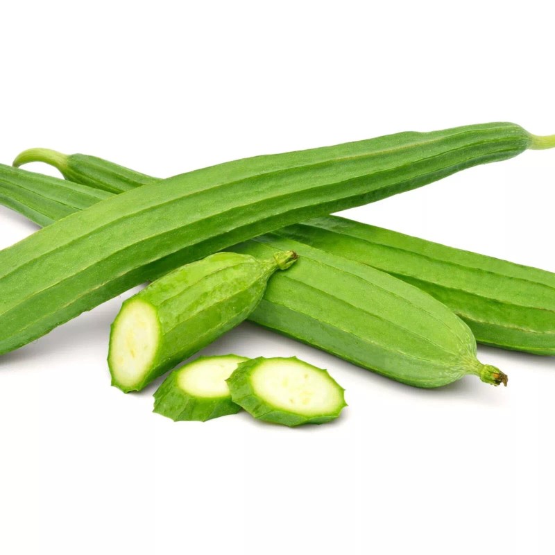 NYgardenia 20pcs Ridged Sponge Gourd Seeds – Heirloom Angled Luffa