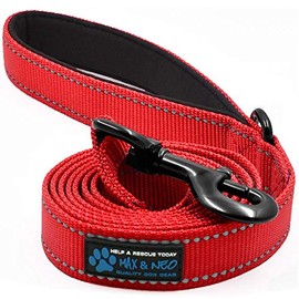 Max and Neo Reflective Nylon Dog Leash - We Donate a Leash to a Dog Rescue for Every Leash Sold (RED, 4x1)