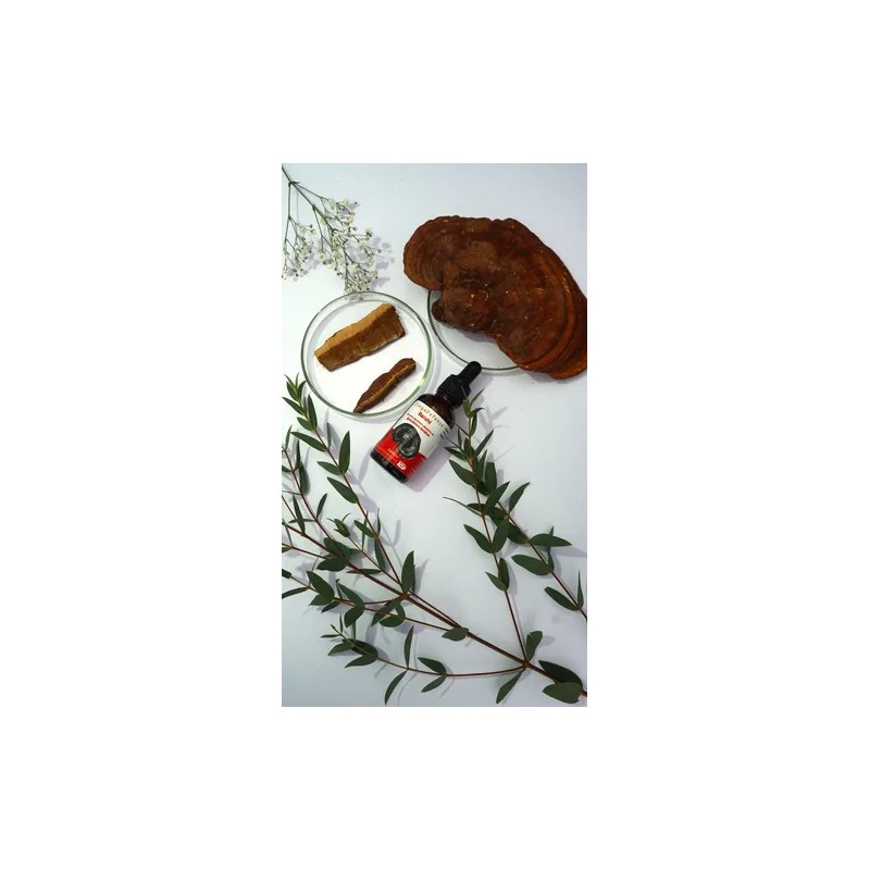 Hongo Adaptógeno Reishi, Extracto Líquido, 30 Ml