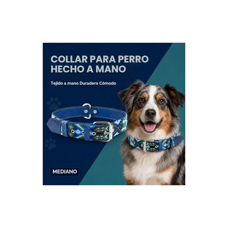 Collar de perro de piel, diseo bordado, collar de perro