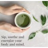 Republic of Tea Organic Matcha Stone Ground Green Tea Powder