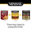 Minwax 711510000 Wood Finish True Black Gallon
