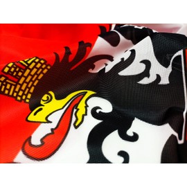 FLAGLY Premium Austria Flag with Eagle 100 x 150 cm - 115 g/m² Fabric Weight - Printed, Robust and Weather-Resistant Gloss Polyester with Eyelets (100 x 150 cm, Austria with Eagle)