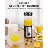 5 in 1 Blender and Food Processor Combo for Kitchen