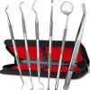 G.CATACC G.CATACC Dental Tools, Dental Pick Teeth Cleaning Tools Hygiene