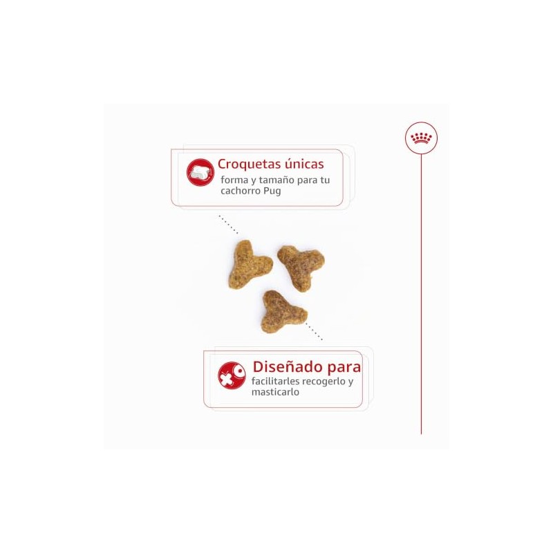 ROYAL CANIN, Puppy - Pug, Croquetas para Perro, 1.1kg