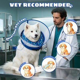 2-in-1 Inflatable Dog Cone Collar, Transparent Anti-Licking Shield with Detachable Soft Padding, Adjustable Elizabethan Collar for Small, Medium, Large Dogs and Cats (M)