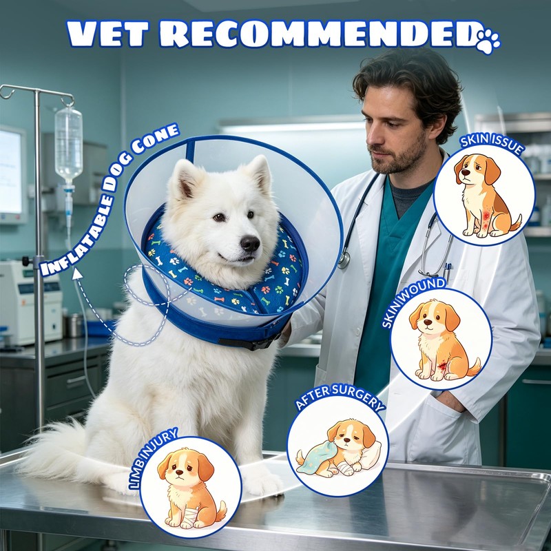 2-in-1 Inflatable Dog Cone Collar, Transparent Anti-Licking Shield with Detachable