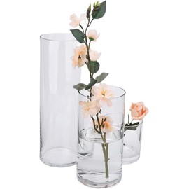 PEPAXON Clear Glass Cylinder Vase Decorative Vase for Flower Tall Flower Vase Flower Container for Home and Events (20x10x10cm)