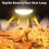 MIXJOY MIXJOY 150W Reptile Heat Lamp Bulbs, 2Pack Heat Lamp
