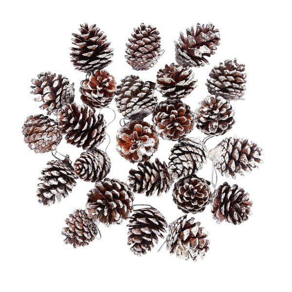KY-Tech Christmas Pine Cones, 25pcs Natural Pine Cones 3-4CM Rustic
