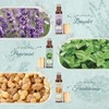 SNOWSEN Roll-1 Essential Oil Set
