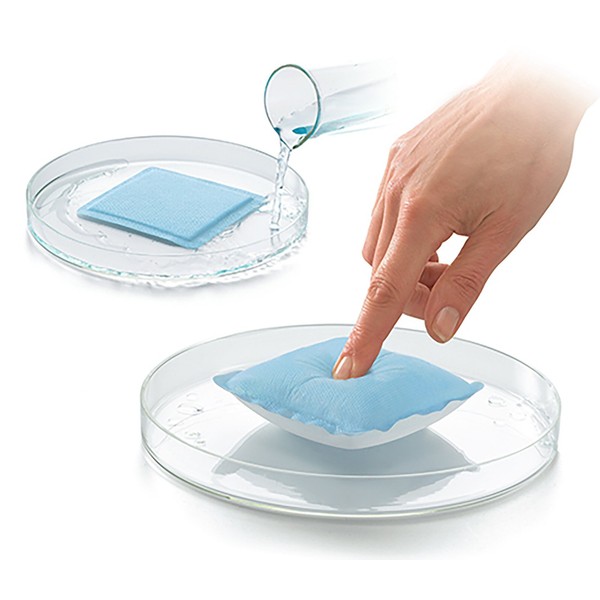 Lohmann & Rauscher Flivasorb Wound Absorbent Pad, Sterile & Individually Sealed Non-Adherent Padding for Gentle Wound Dressing & Absorption, Absorbs 20 Times Its Weight, 8" x 12" Pad, Box of 10