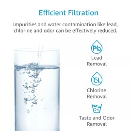 AQUA CREST DW2042FR-09 Refrigerator Water Filter,Replace