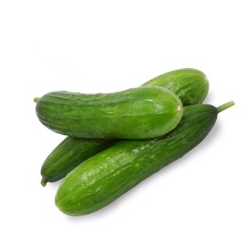 HSC Beit Alpha Cucumber Seeds, Persian Cucumber, Burpless, FREE SHIPPING - 250