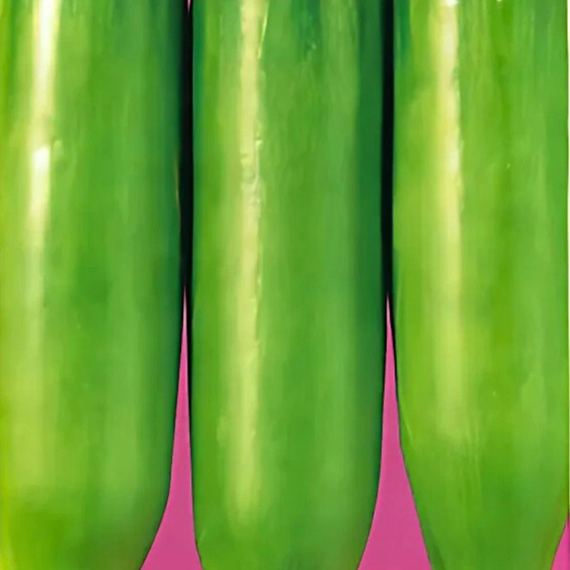 Straightup Nature Fresh Korean Squash King Ka Ae Seeds |